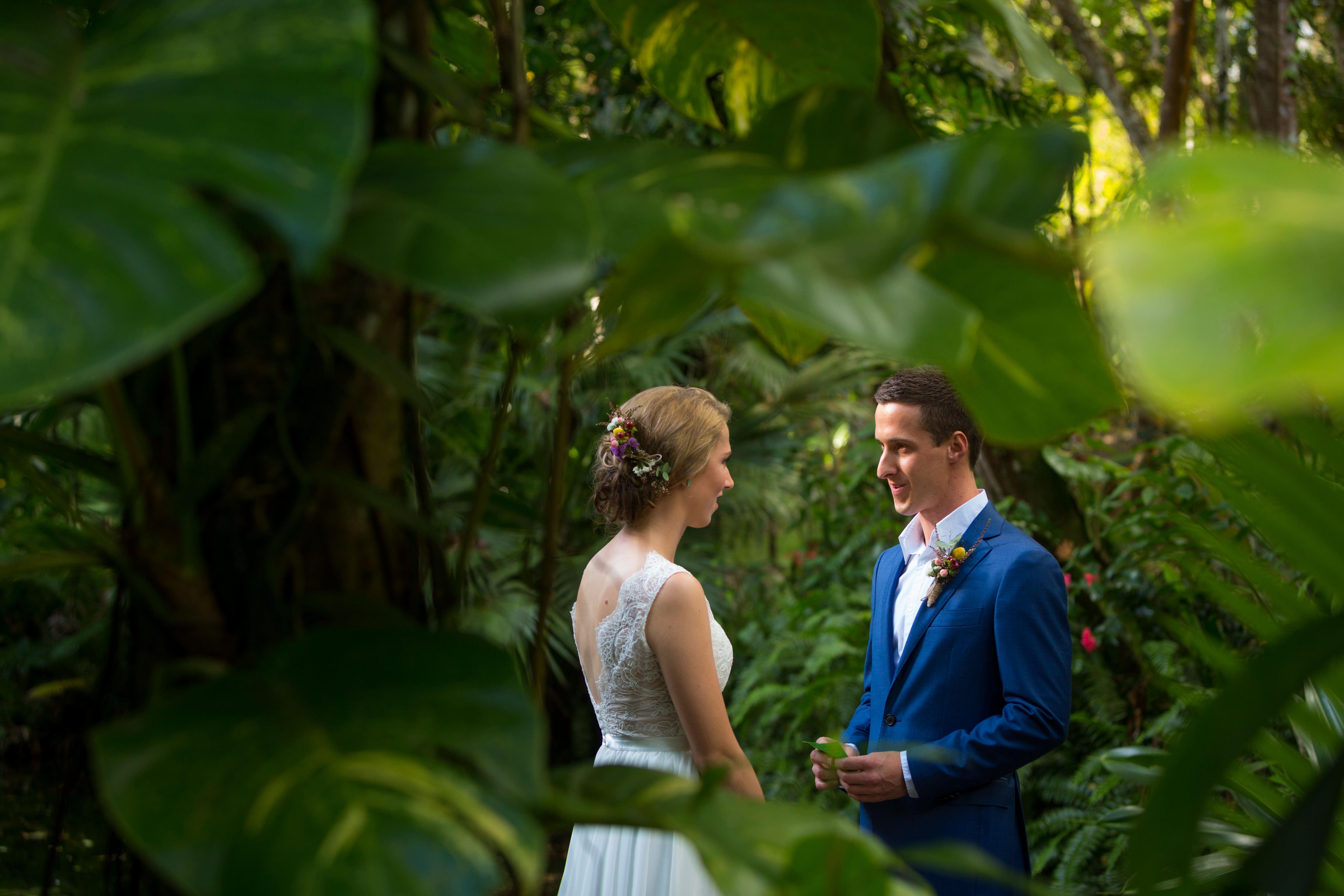 daintree rainforest wedding venue hire and accommodation