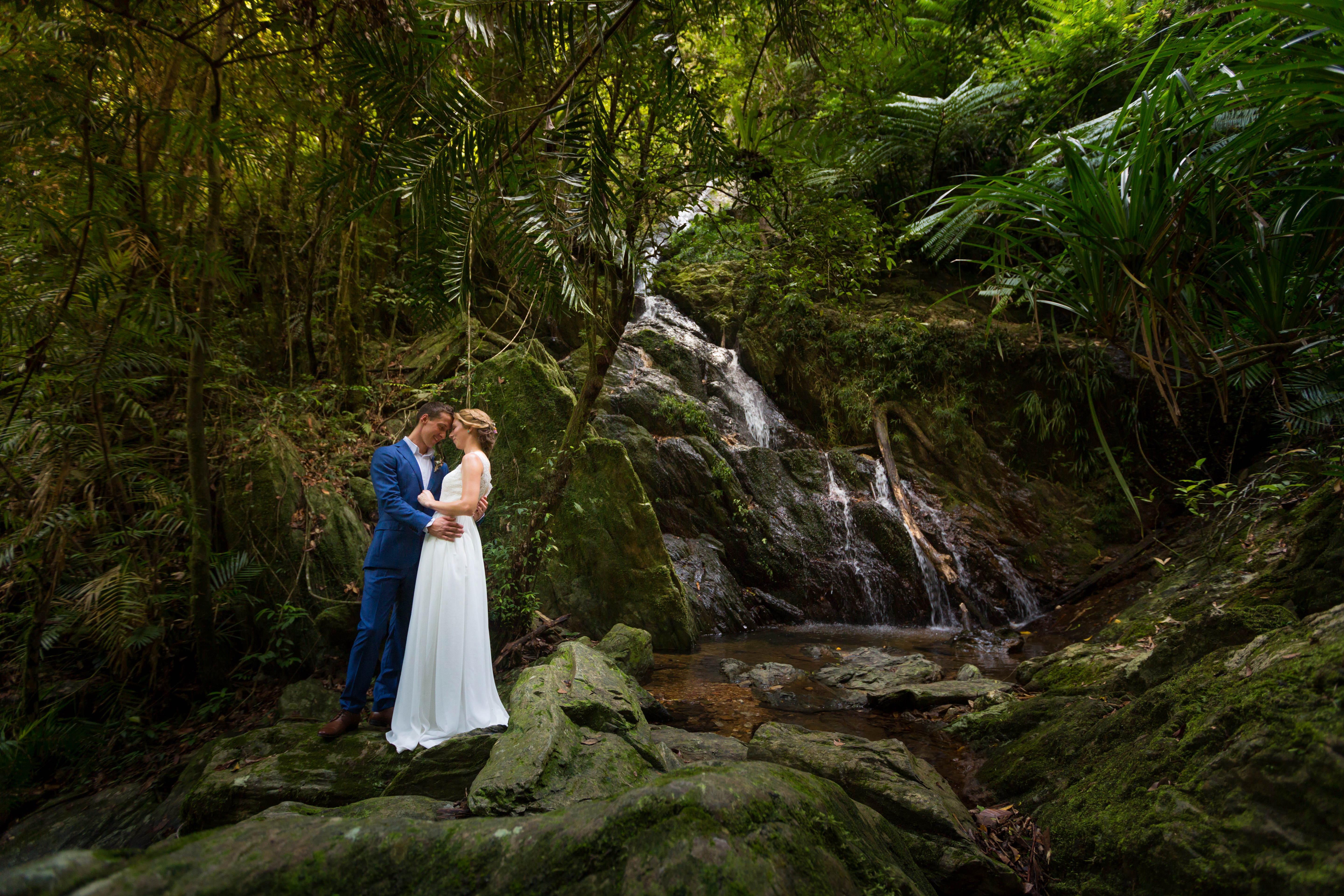daintree rainforest wedding venue