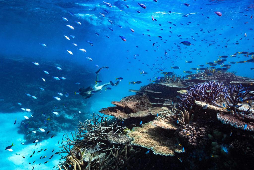 great barrier reef accommodation