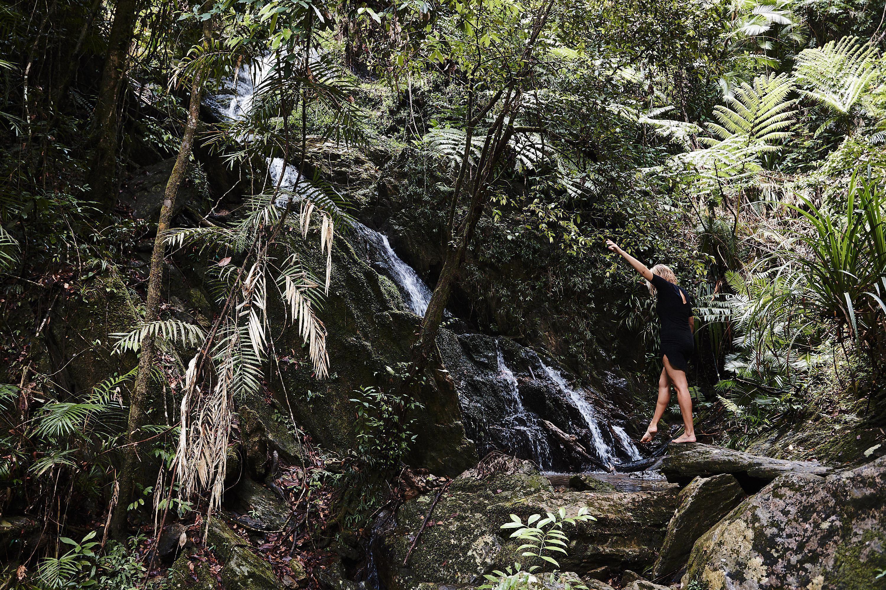 daintree rainforest waterfall ecolodge and spa