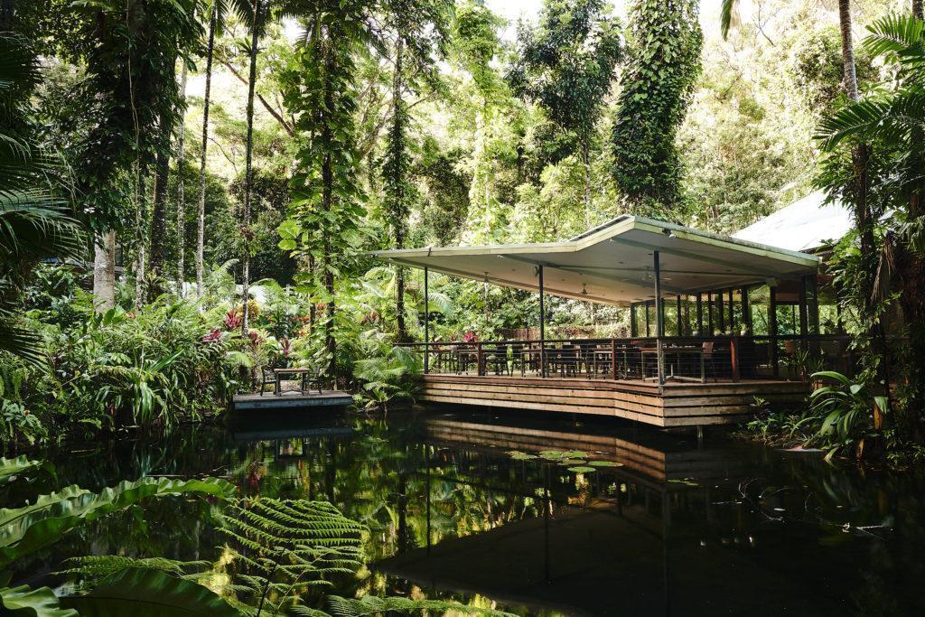 daintree restaurant and accommodation