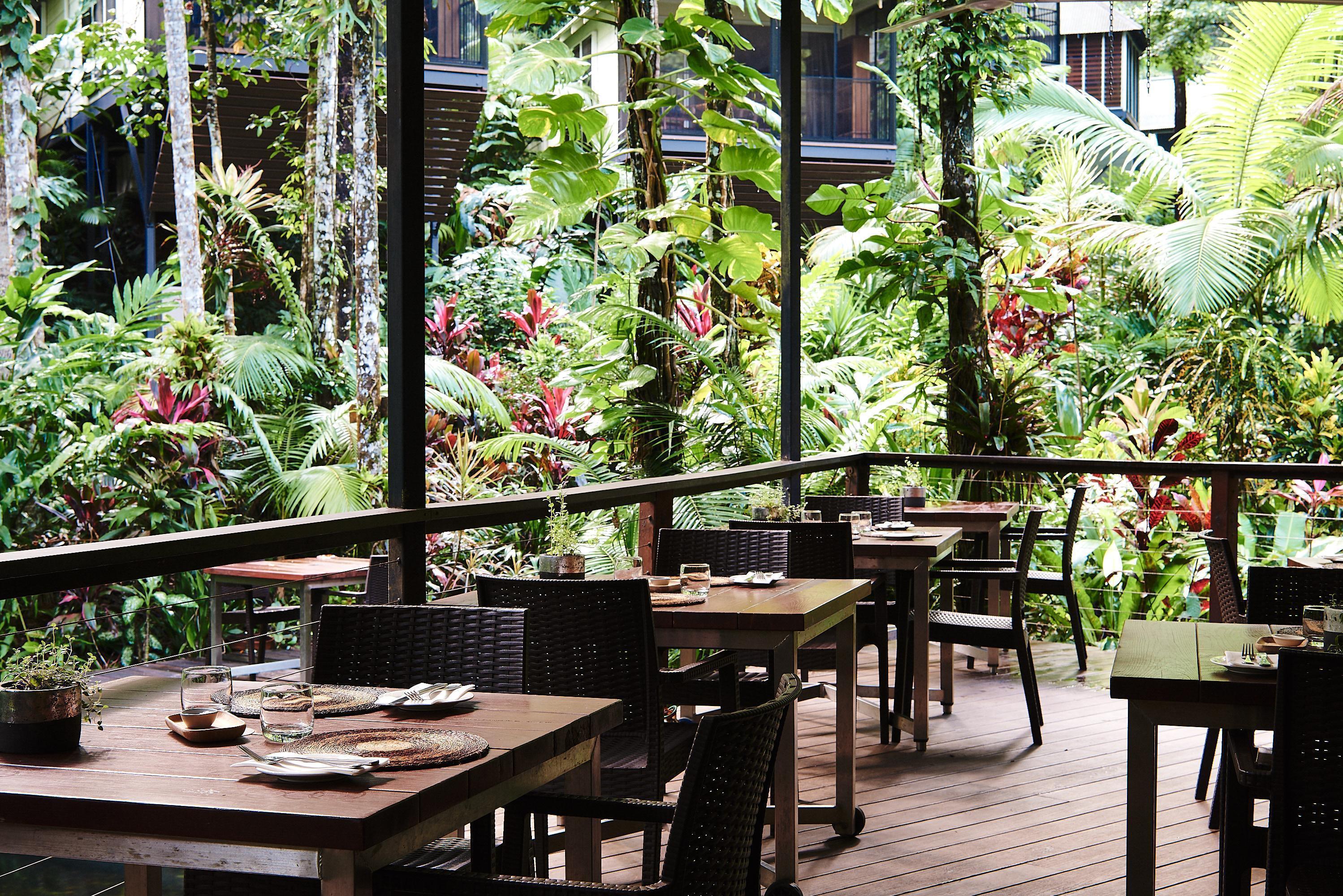 Daintree Rainforest Ecolodge Restaurant and Bar