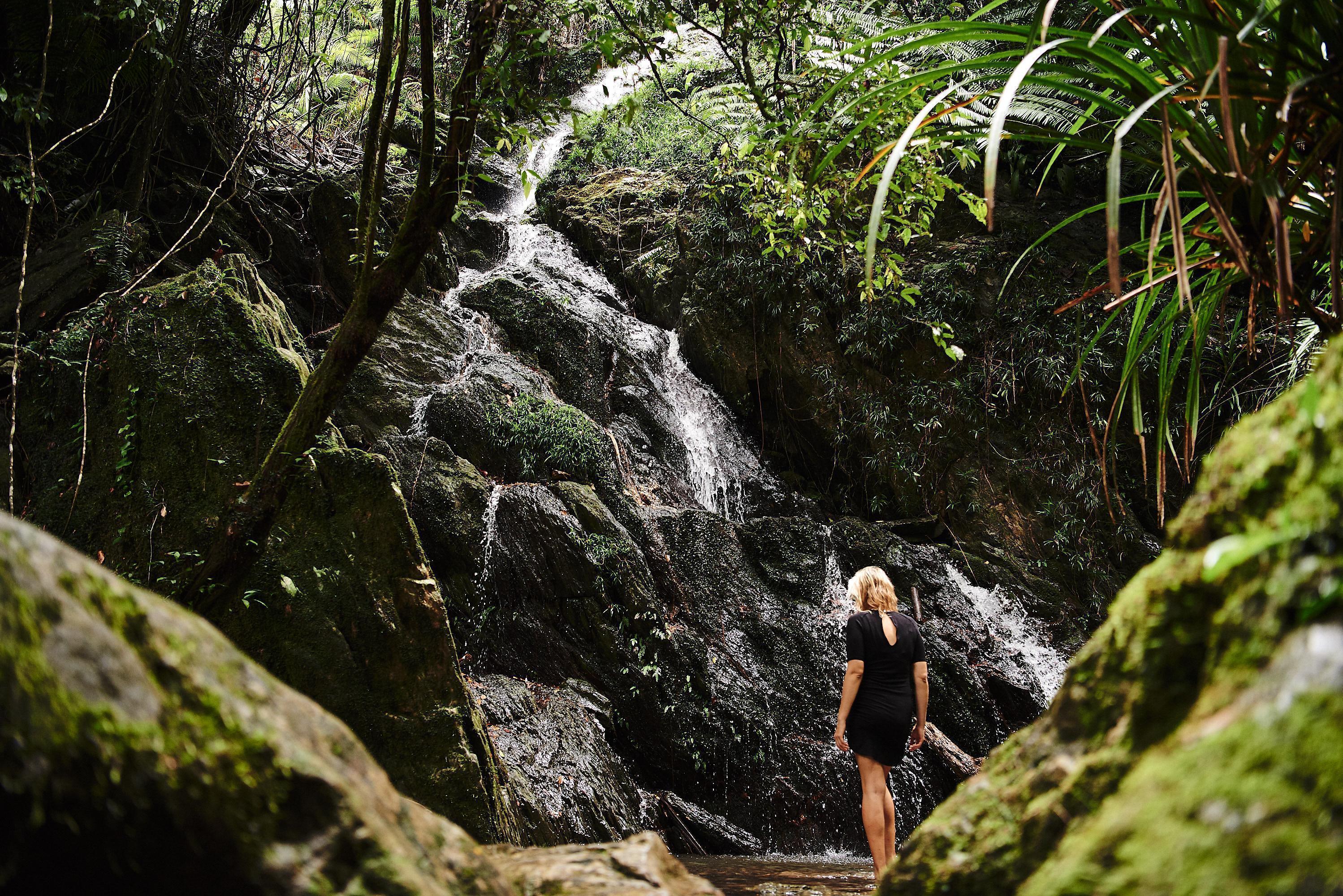 daintree rainforest ecolodge waterfall