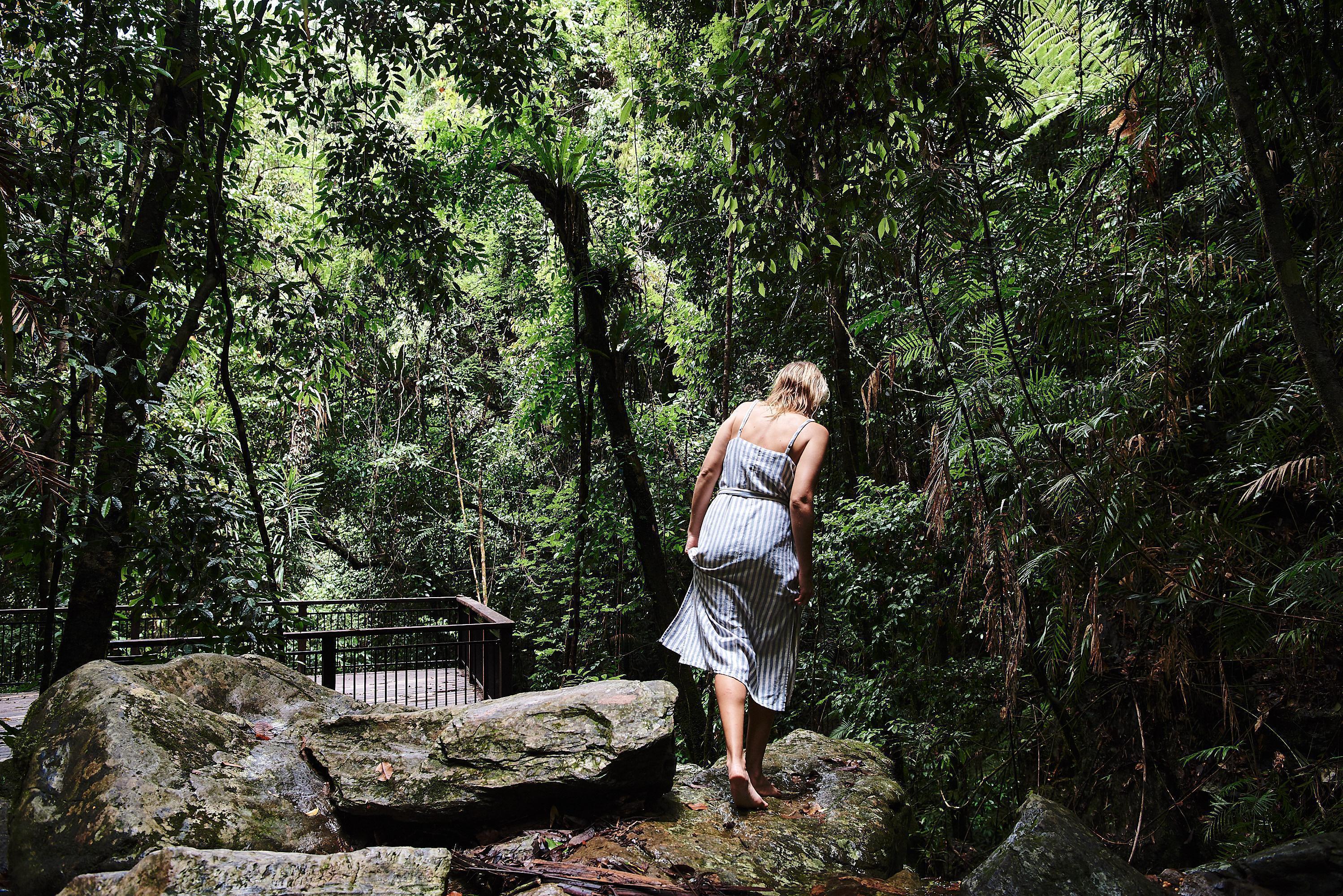 Daintree Rainforest Boutique Hotel & Spa