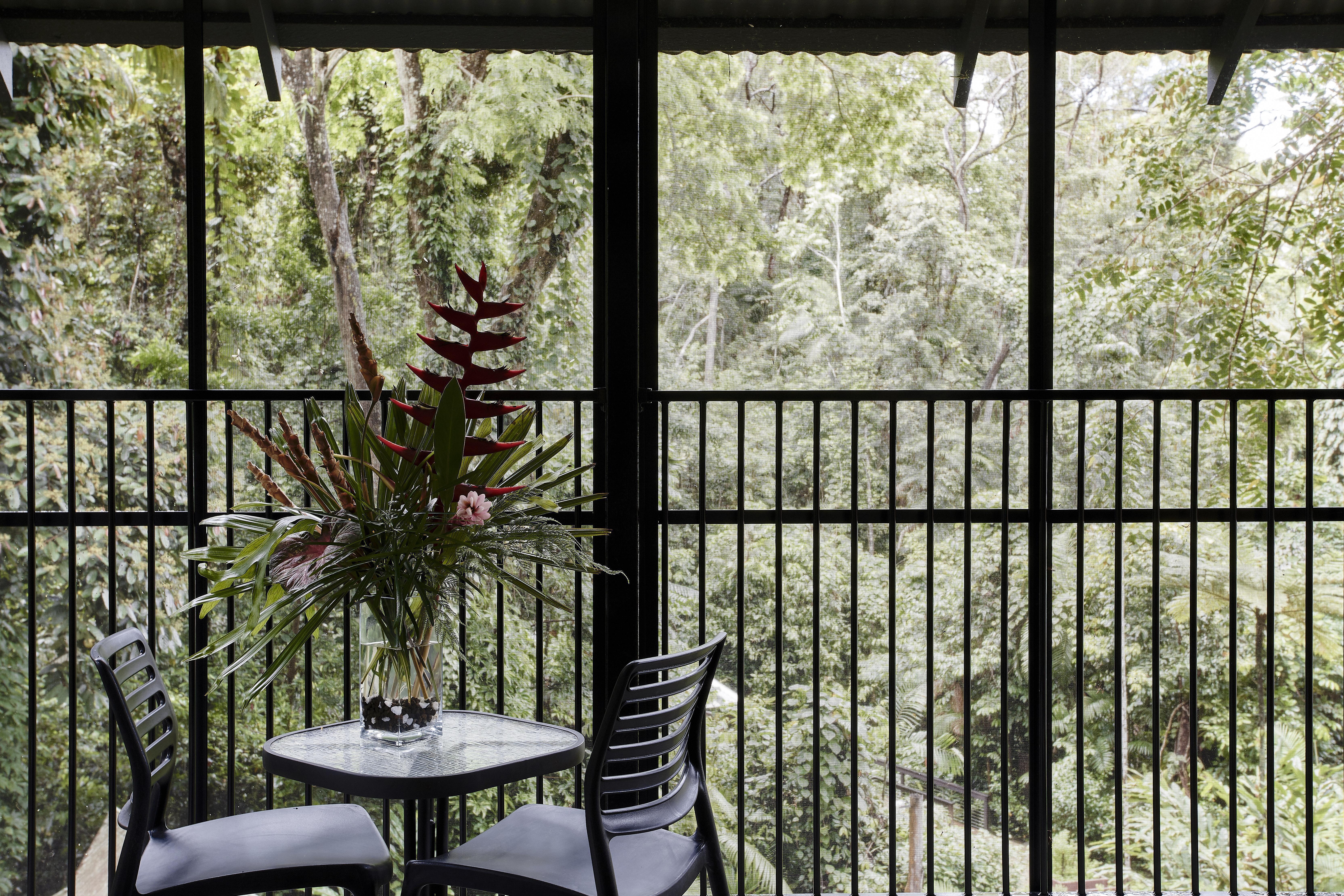 daintree rainforest luxury treehouse accommodation