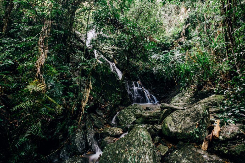 4 Top Indigenous experiences in the Daintree