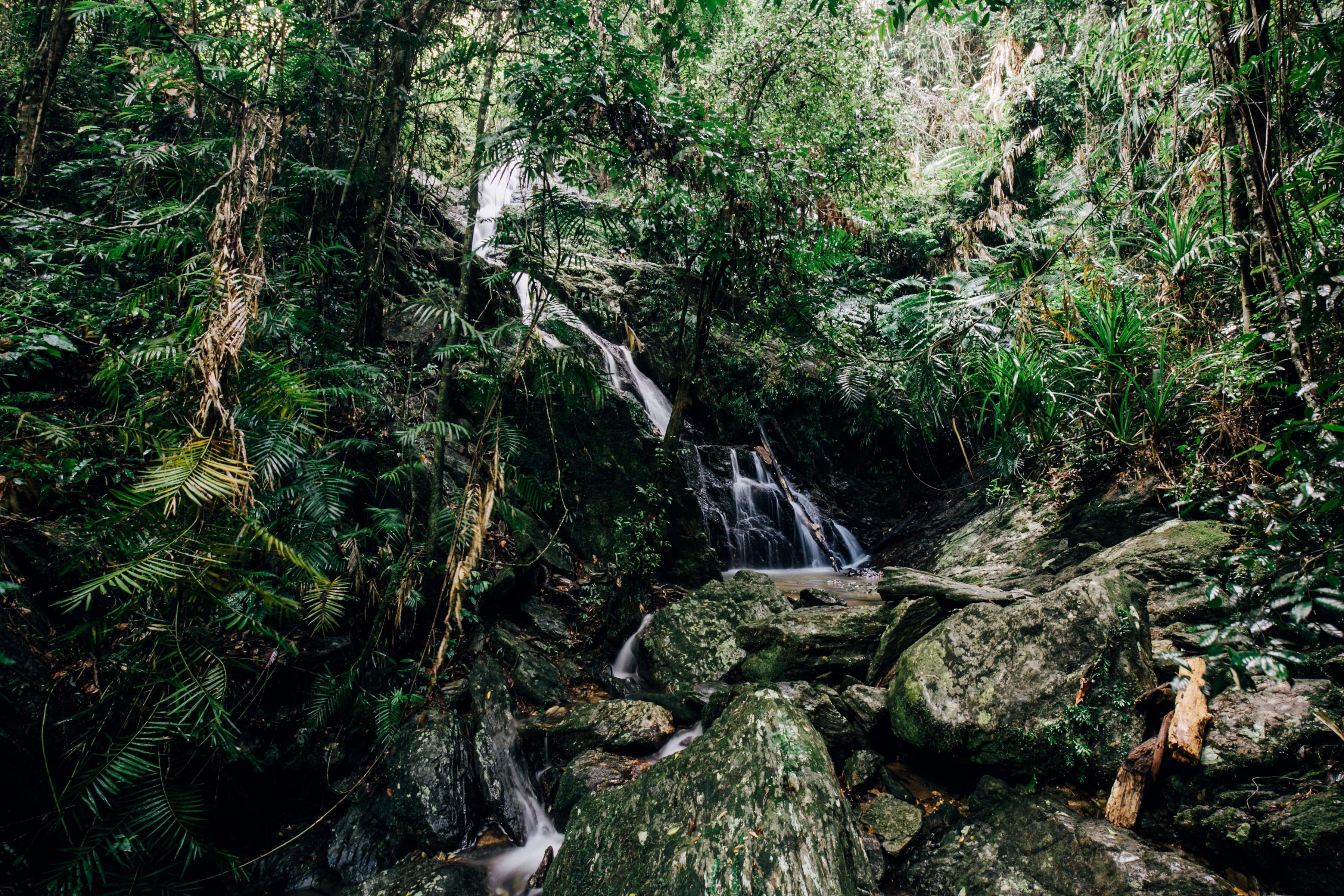 daintree rainforest waterfall ecolodge