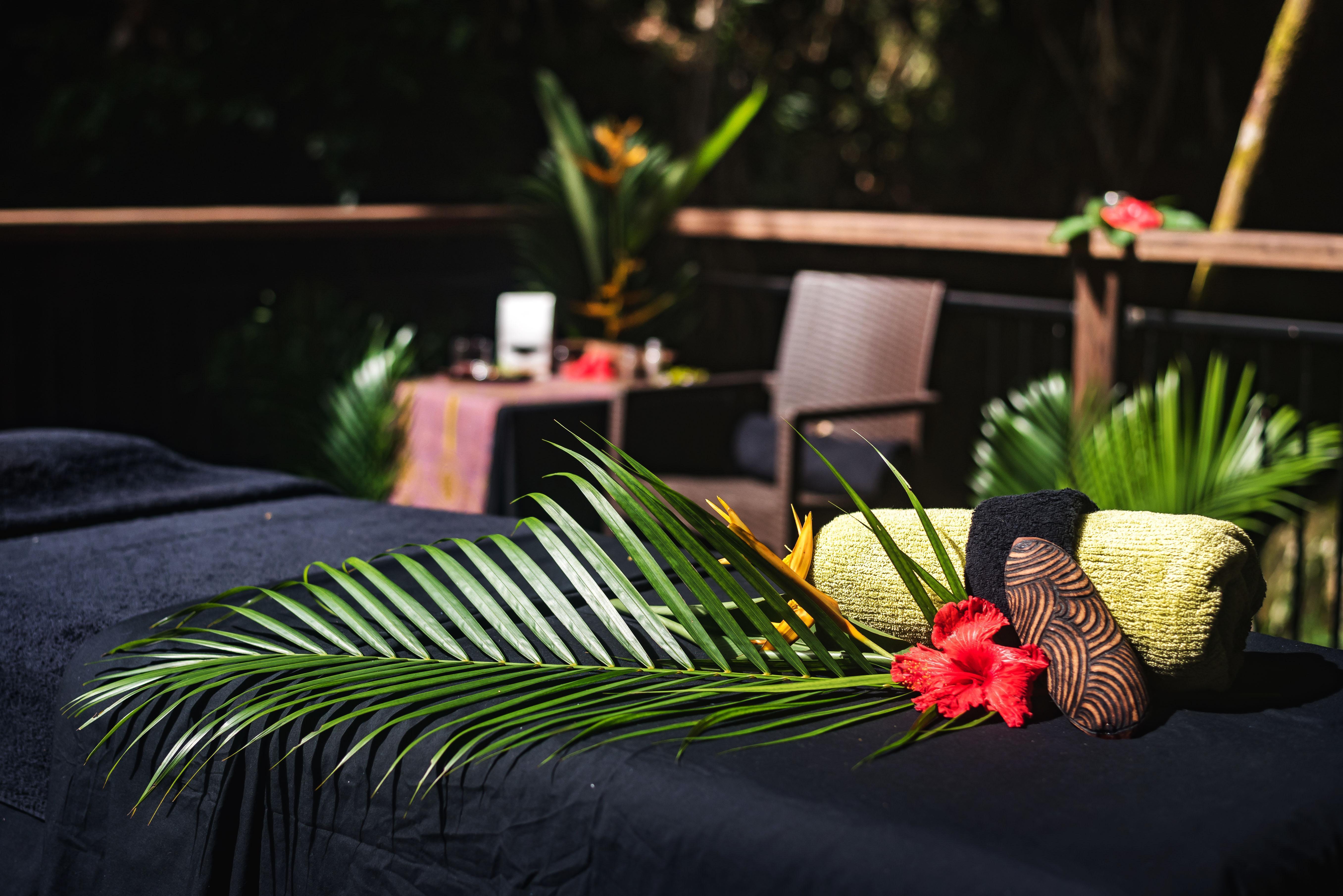 daintree rainforest boutique hotel and wellness spa