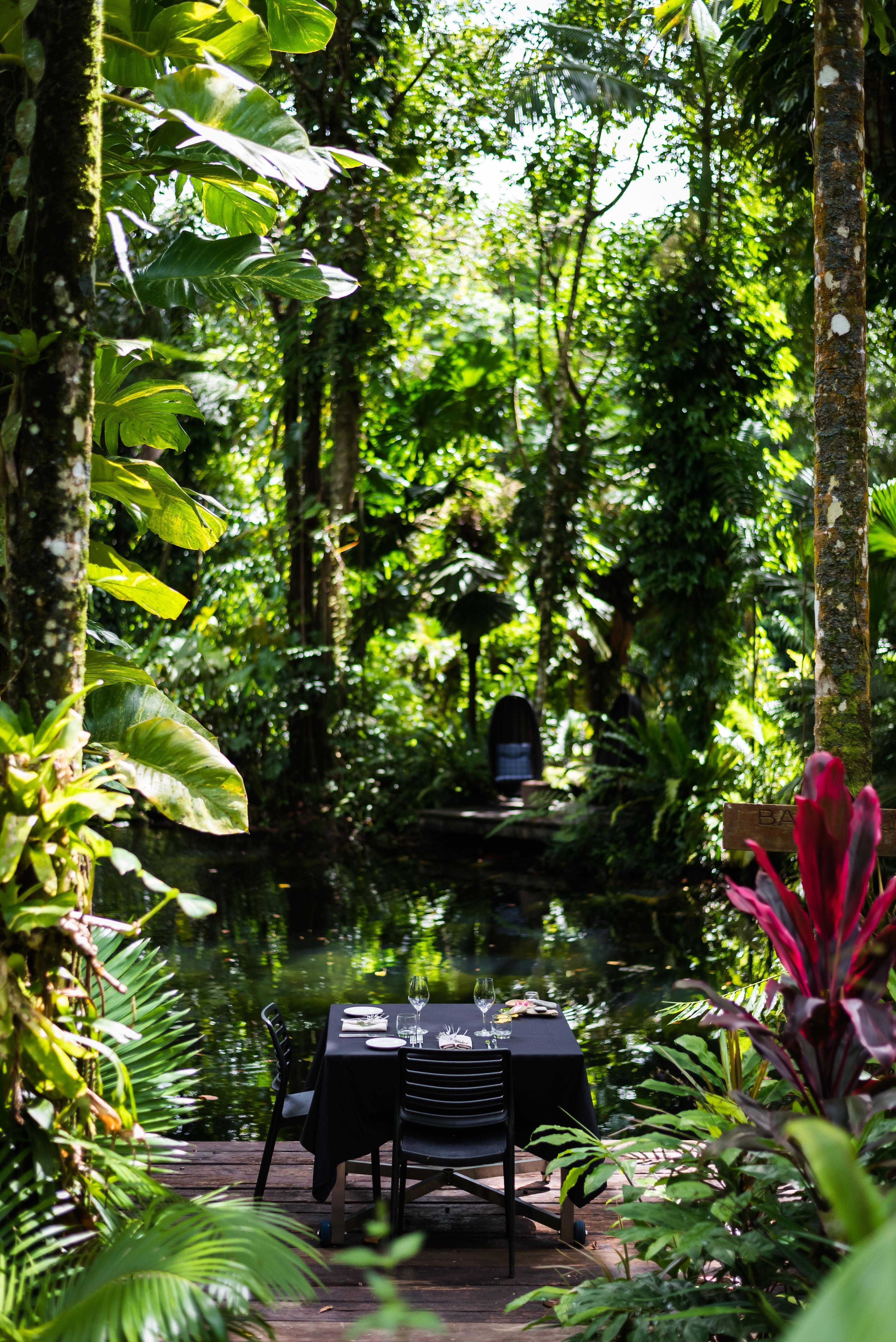 daintree rainforest romantic getaway accommodation