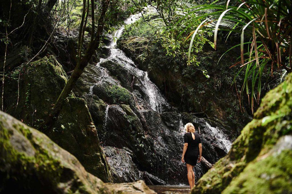 Daintree Accommodation