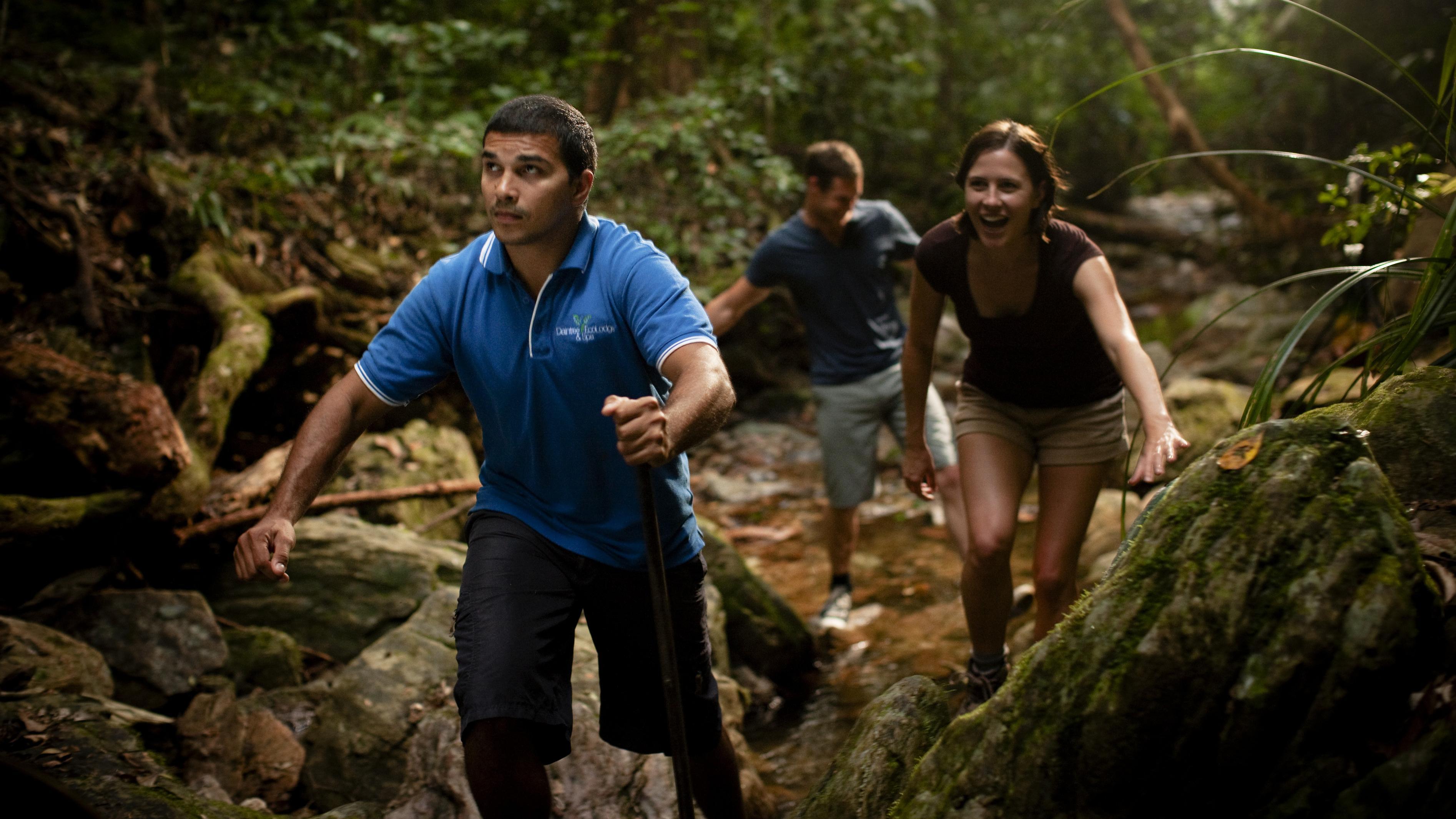 Daintree Aboriginal Hike