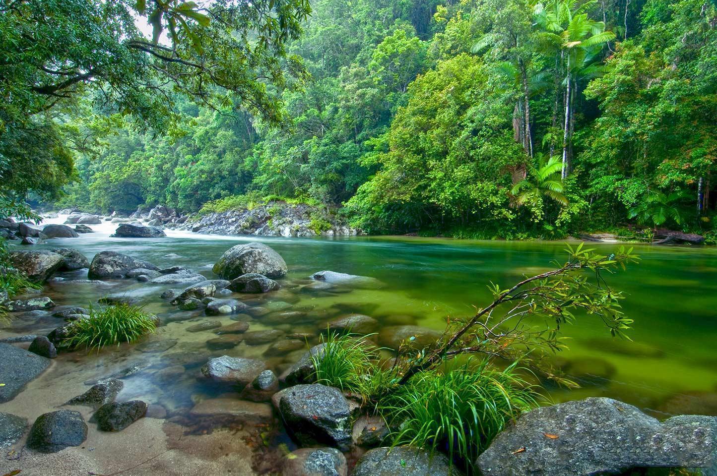 Mossman Gorge Daintree