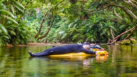 Things to do in the Daintree