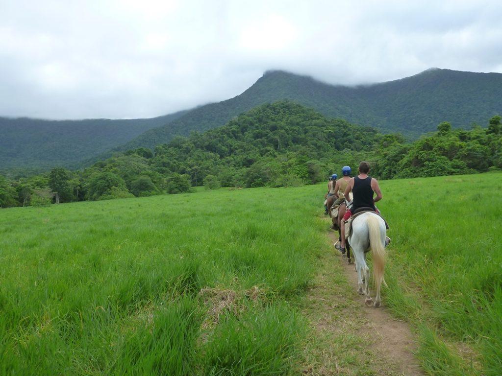 Cape Tribulation Horse Riding