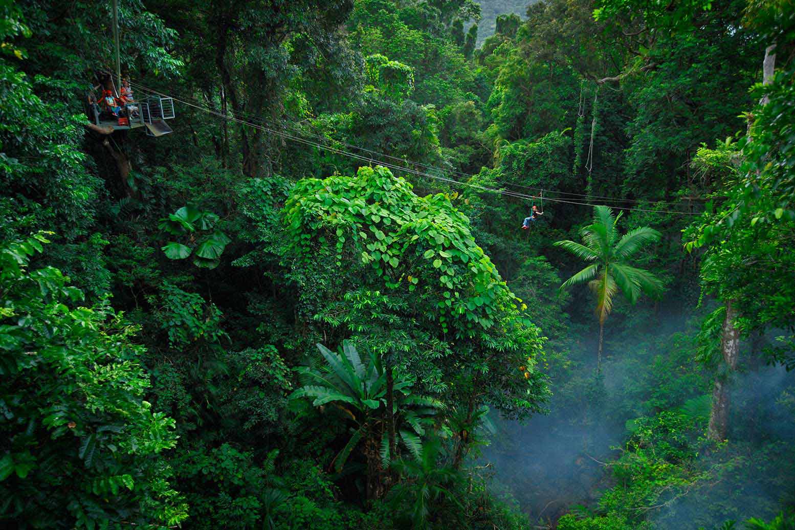 daintree rainforest tourist attractions