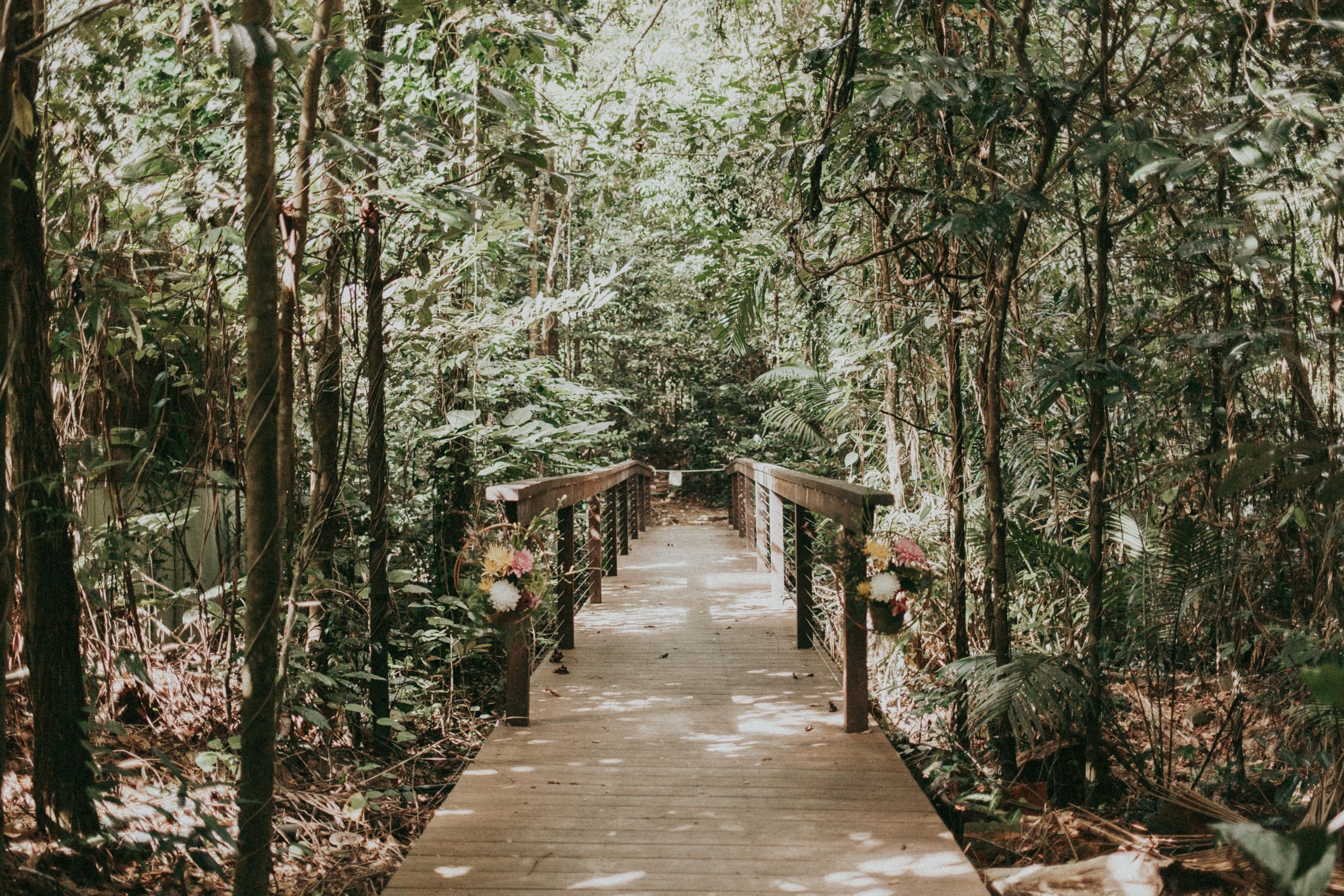 Daintree Weddings