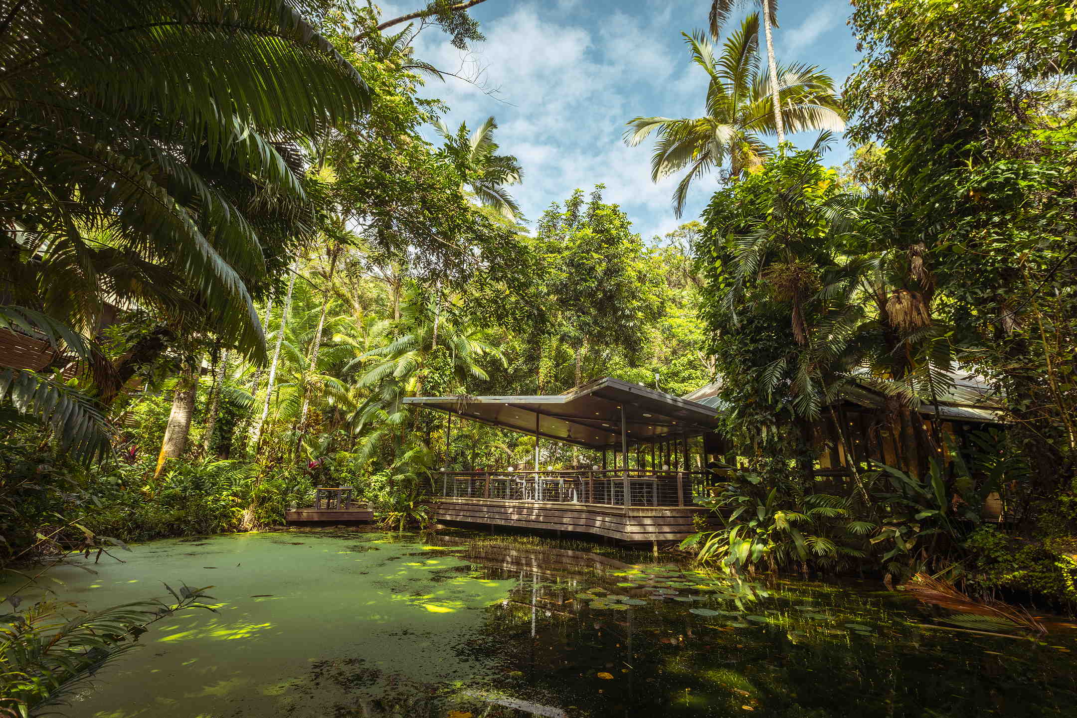 Daintree Ecolodge Sustainable Rainforest Accommodation