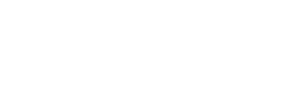 Stay Intrepid logo